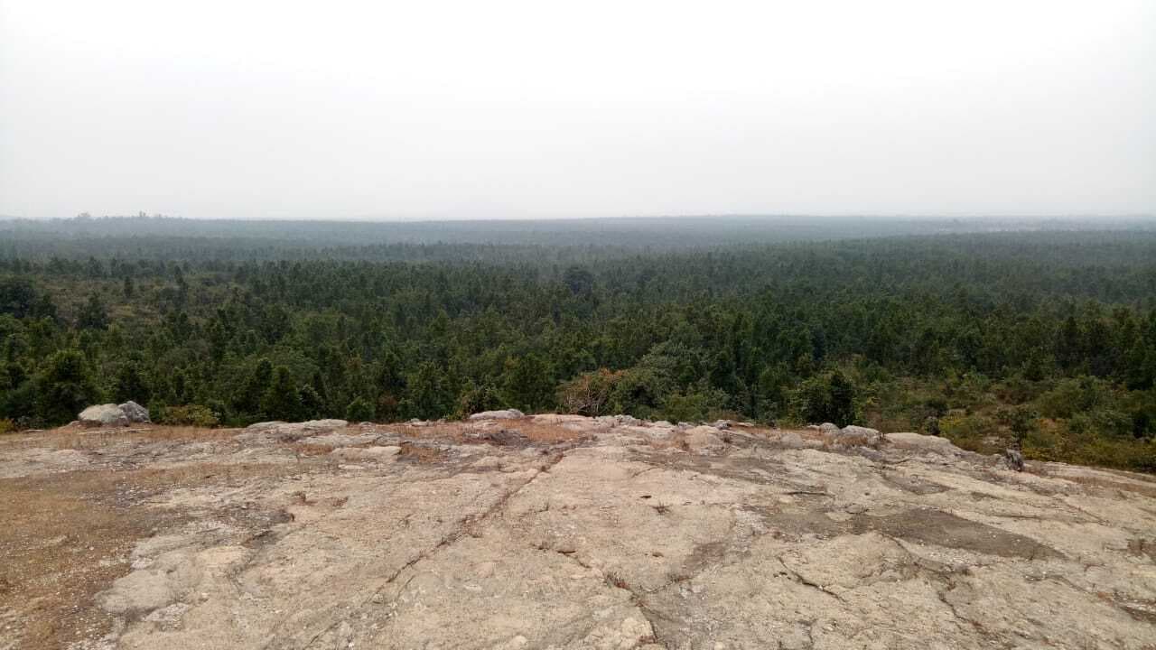 Picnic Spot: हजारीबाग से 5 किलोमीटर दूर है ये पिकनिक स्पॉट, यहां से दिखता है अद्भुत नजारा