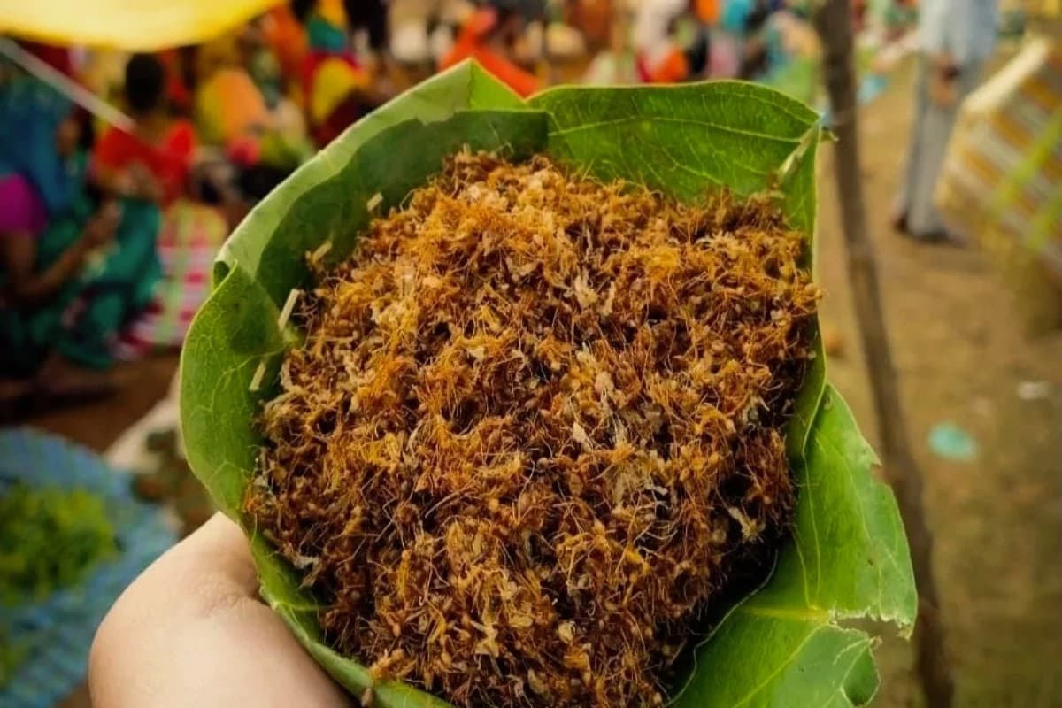 लाल चींटियों की मसालेदार चटनी के हैं कई हेल्थ बेनेफिट, झारखंड के आदिवासियों से सीखें रेसिपी