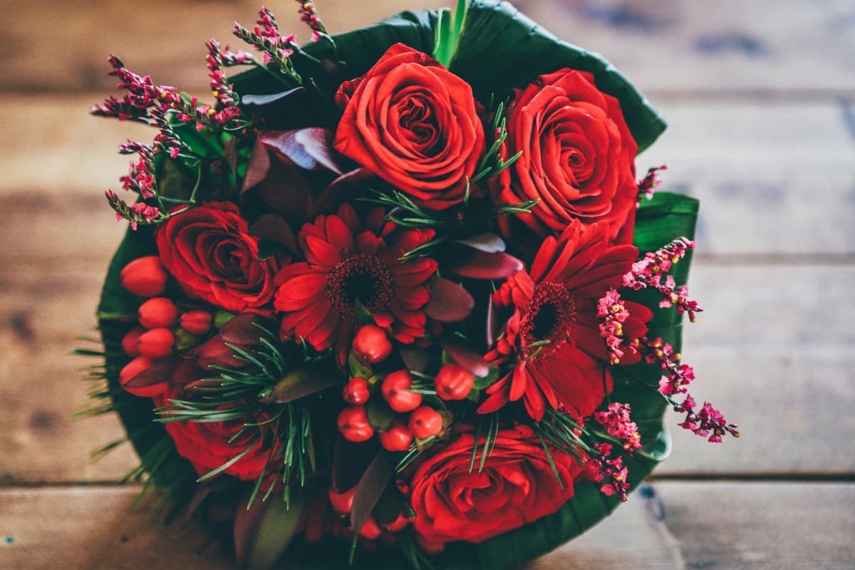 Rose Day 2024: किस रंग के गुलाब का क्या होता है मतलब? यहां जानें