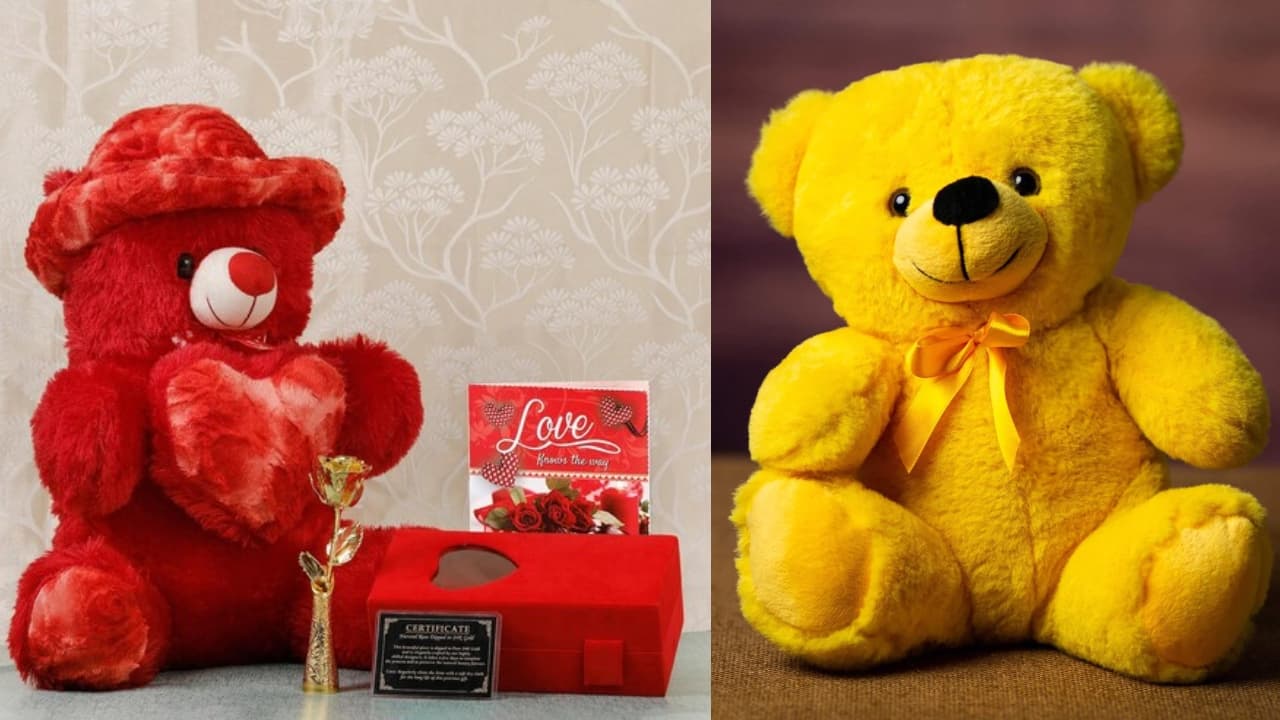 Teddy Day 2024: जानें क्या संदेश देते हैं अलग-अलग रंगों के टेडी बियर