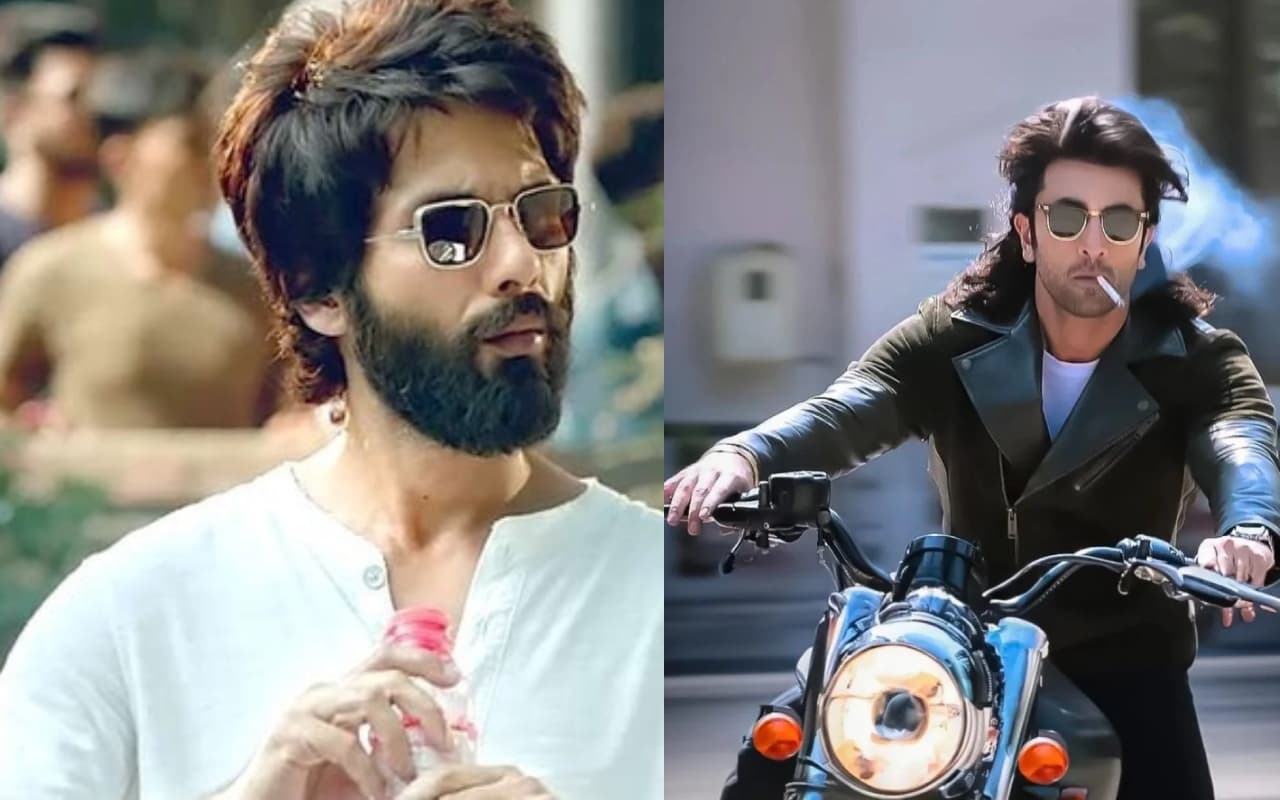 Animal Park में होगी कबीर सिंह की एंट्री? शाहिद कपूर ने तोड़ी चुप्पी, कहा- अगर ऐसा कुछ होता है...