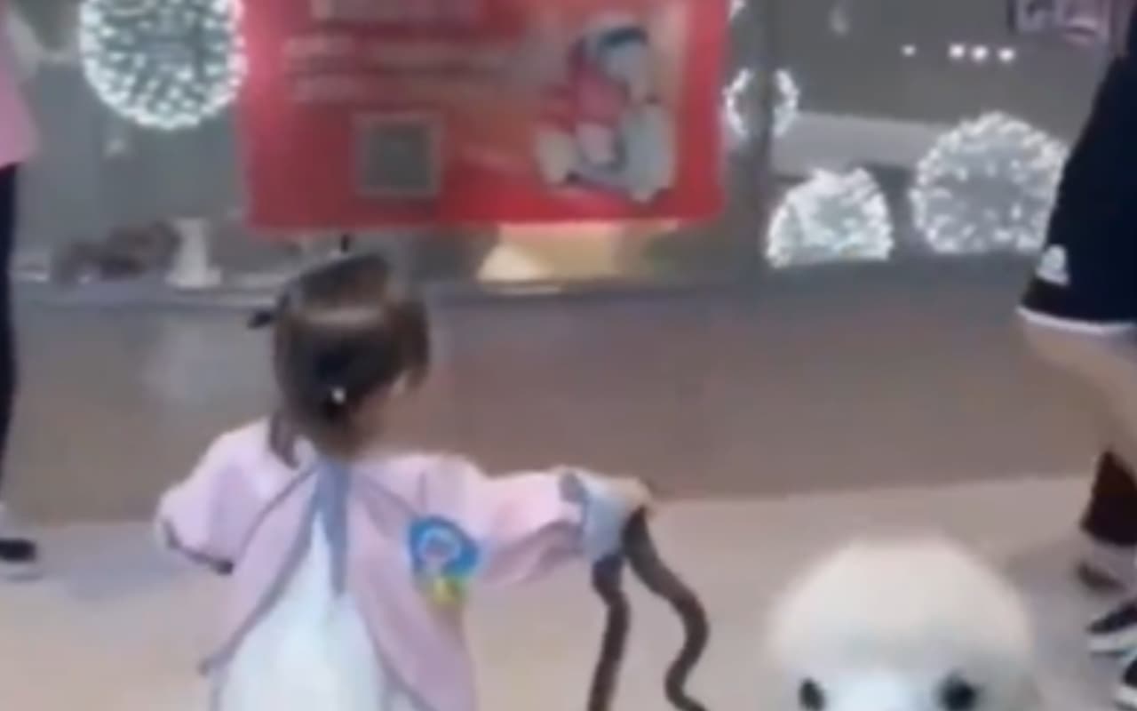 VIRAL VIDEO: हाथ में सांप लेकर एक महिला की ओर दौड़ती नजर आई छोटी बच्ची, जानें आगे क्या हुआ