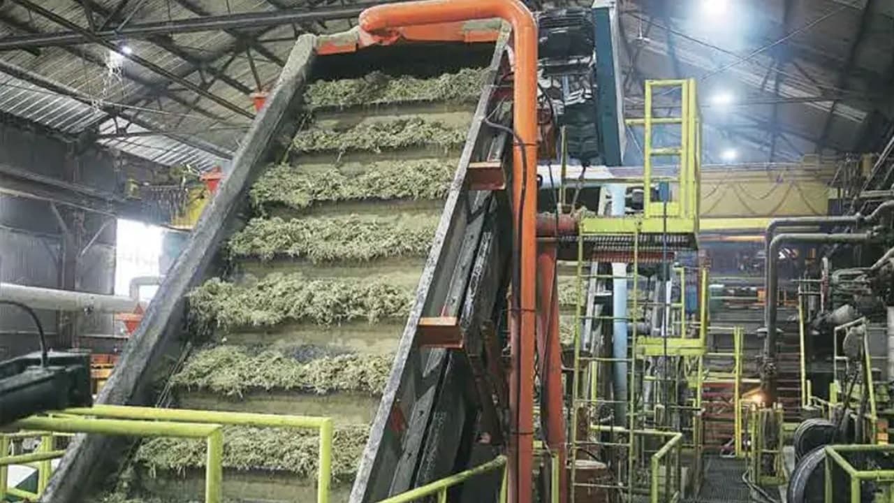 चीनी उत्पादन का कभी हब था मधुबनी, आज गुड़ के लिए भी प्रस्ताव नहीं, जानें कहां लगेंगे नये यूनिट