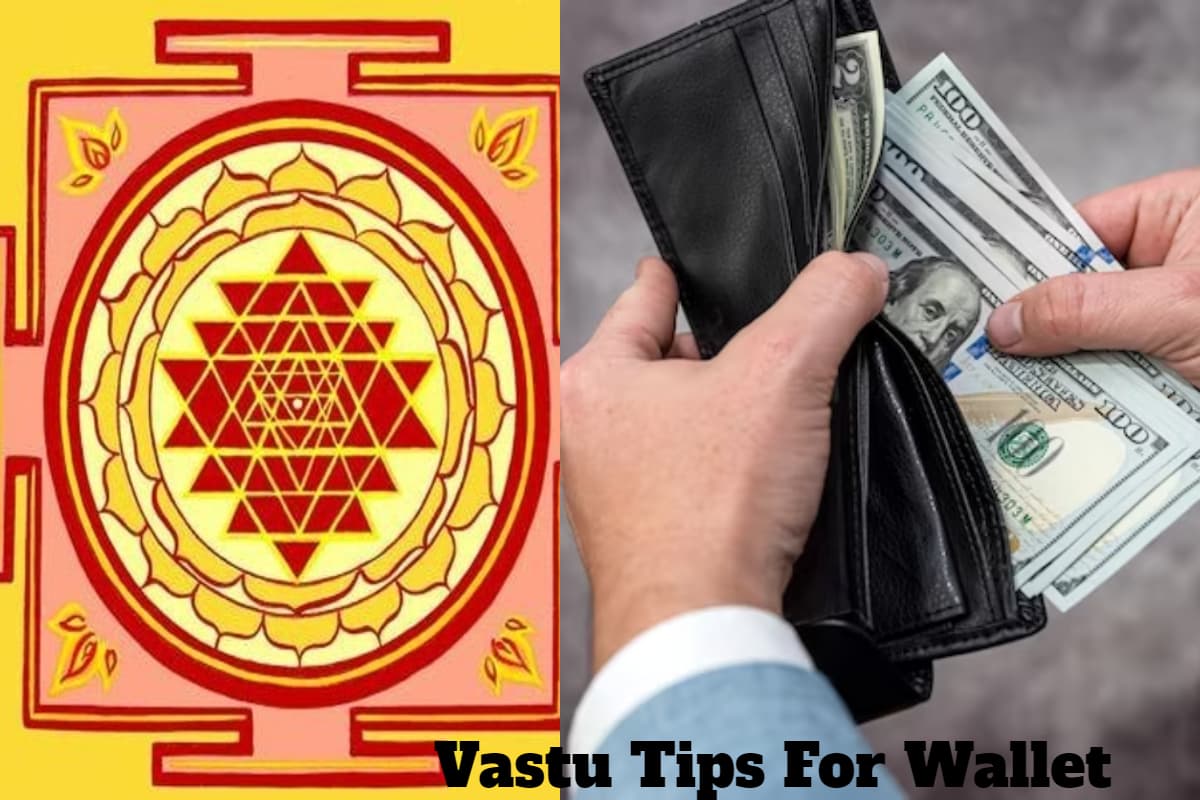 Vastu Tips: पर्स में इन चीजों को रखना पड़ सकता है भारी, जीवन में हो सकती है धन की कमी