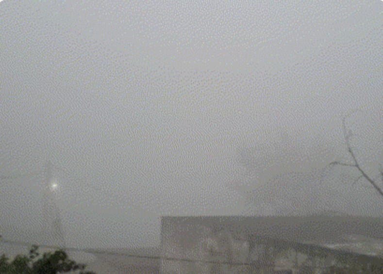 UP News: अलीगढ़ में बारिश से सर्दी में इजाफा, ठंडी हवाओं ने कराया शीतलहर का एहसास, प्रदूषण में नहीं हुआ सुधार