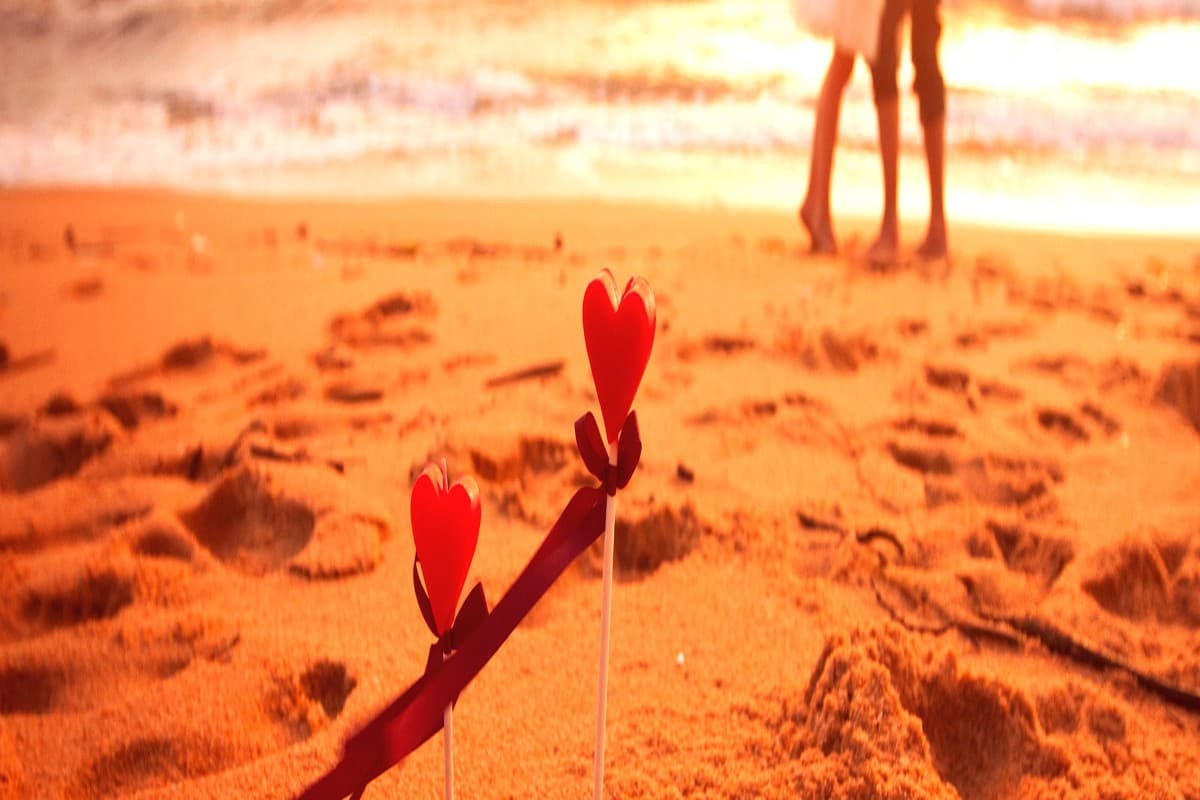 PHOTOS: वैलेंटाइन डे के मौके पर पार्टनर संग घूम आएं इन रोमांटिक जगहों पर, देखें लिस्ट