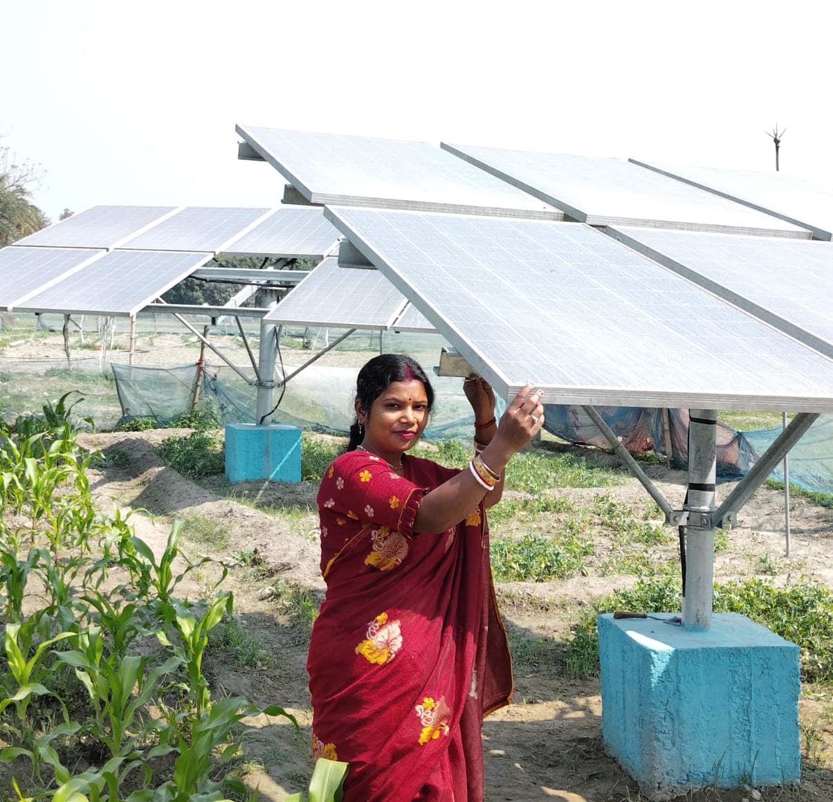 सौर ऊर्जा से सिंचाई कर मुजफ्फरपुर की अनु बनीं लखपति दीदी, एक साल पहले शुरू किया काम, अब 25 बीघा खेतों में कर रही पटवन