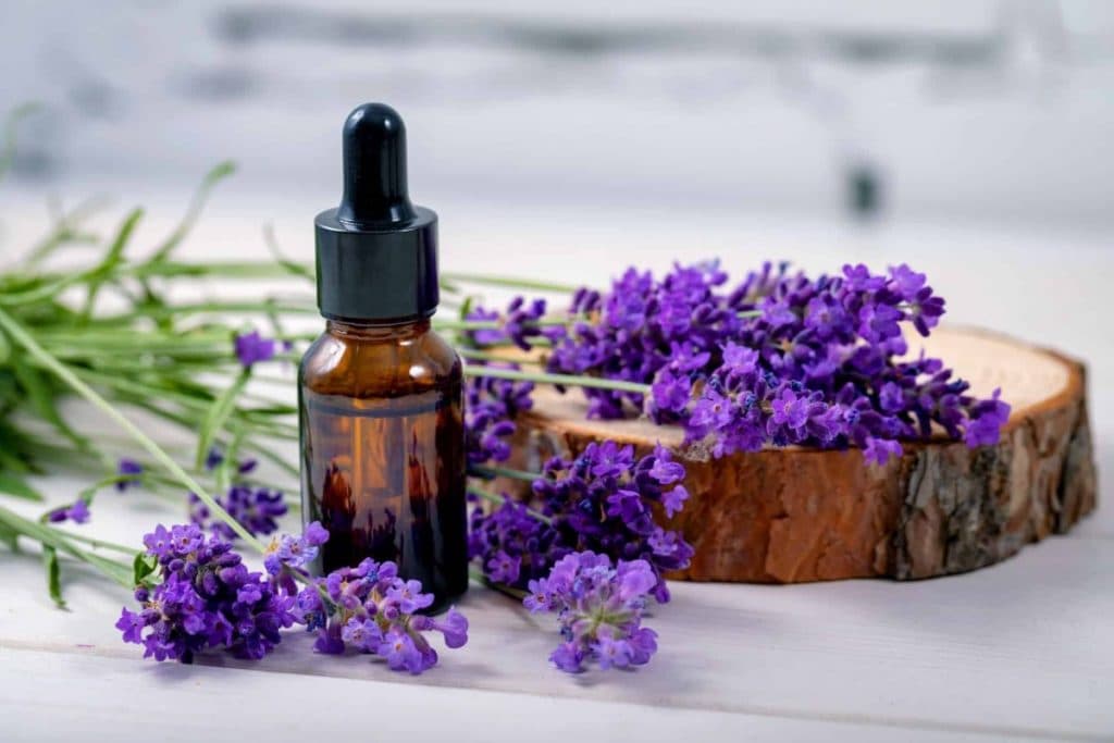 Apply Lavender Oil
