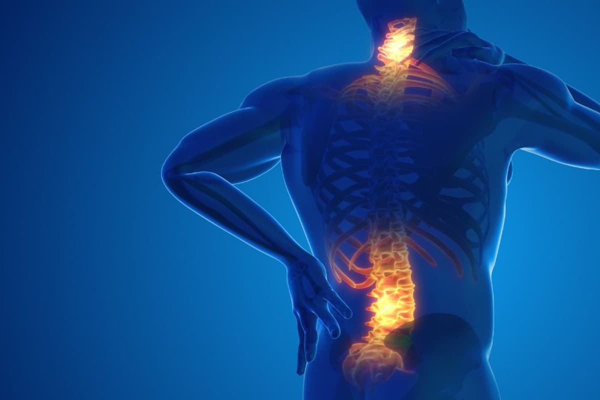 Life &amp; Style : ऑफिस में काम के दौरान सही पोस्चर पर दें ध्यान, वरना बैक पेन कर सकता है आपको परेशान