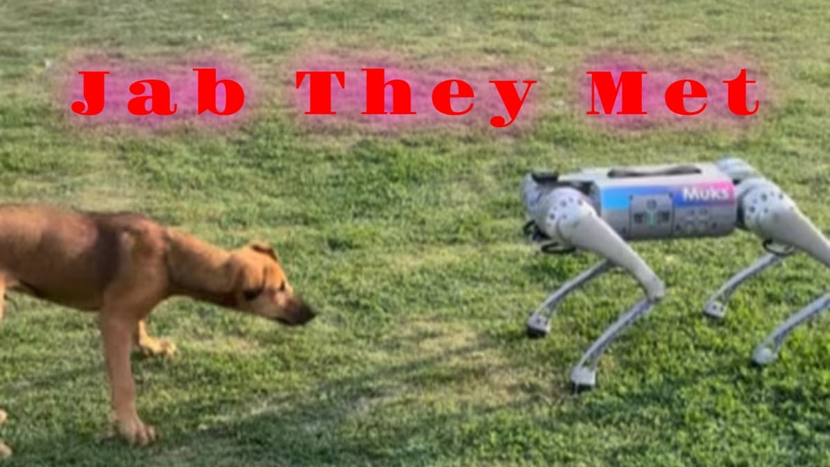 Bizarre: यह कुत्तों की नौकरी खा जाएगा… जब असली कुत्ते का हुआ रोबोटिक डॉग से सामना, देखें Viral Video