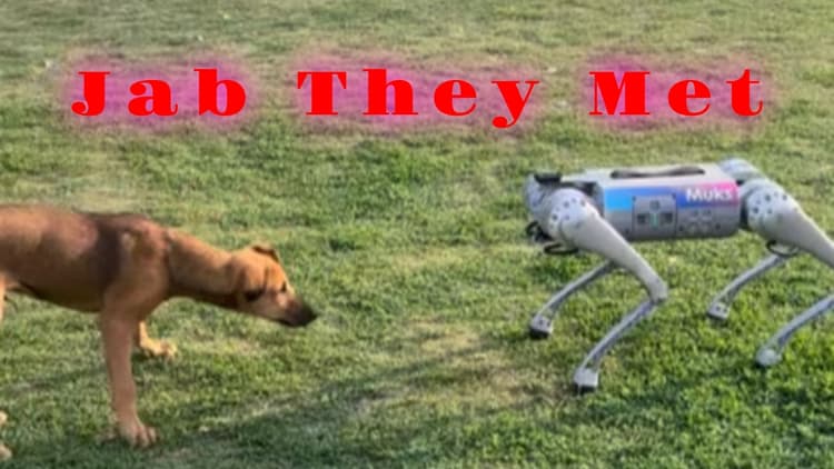 Bizarre: यह कुत्तों की नौकरी खा जाएगा… जब असली कुत्ते का हुआ रोबोटिक डॉग से सामना, देखें Viral Video