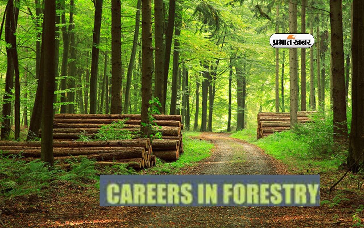 Career in Forestry: फॉरेस्ट्री के फील्ड में बनाएं करियर, मिलेंगे ये शानदार विकल्प