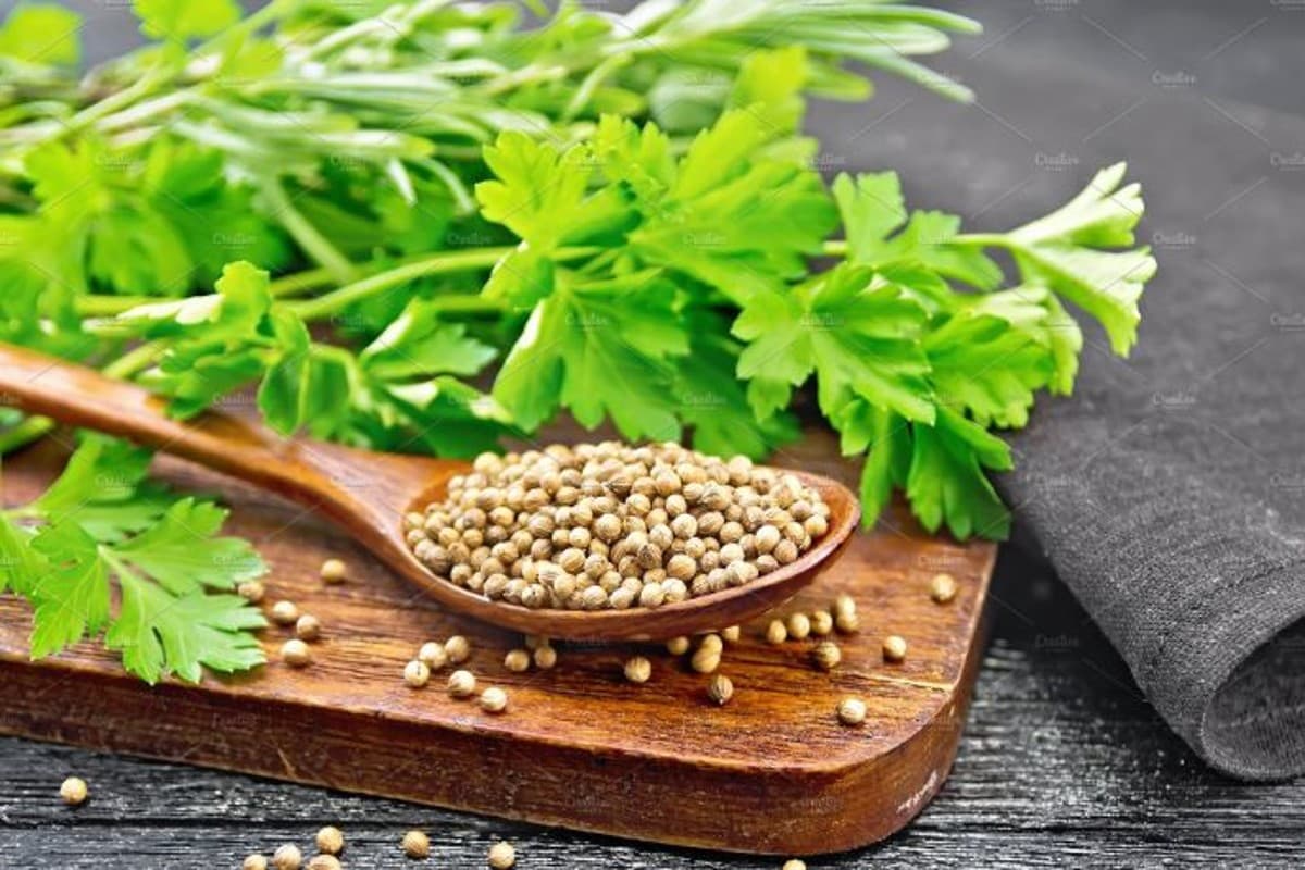 Coriander Benefits