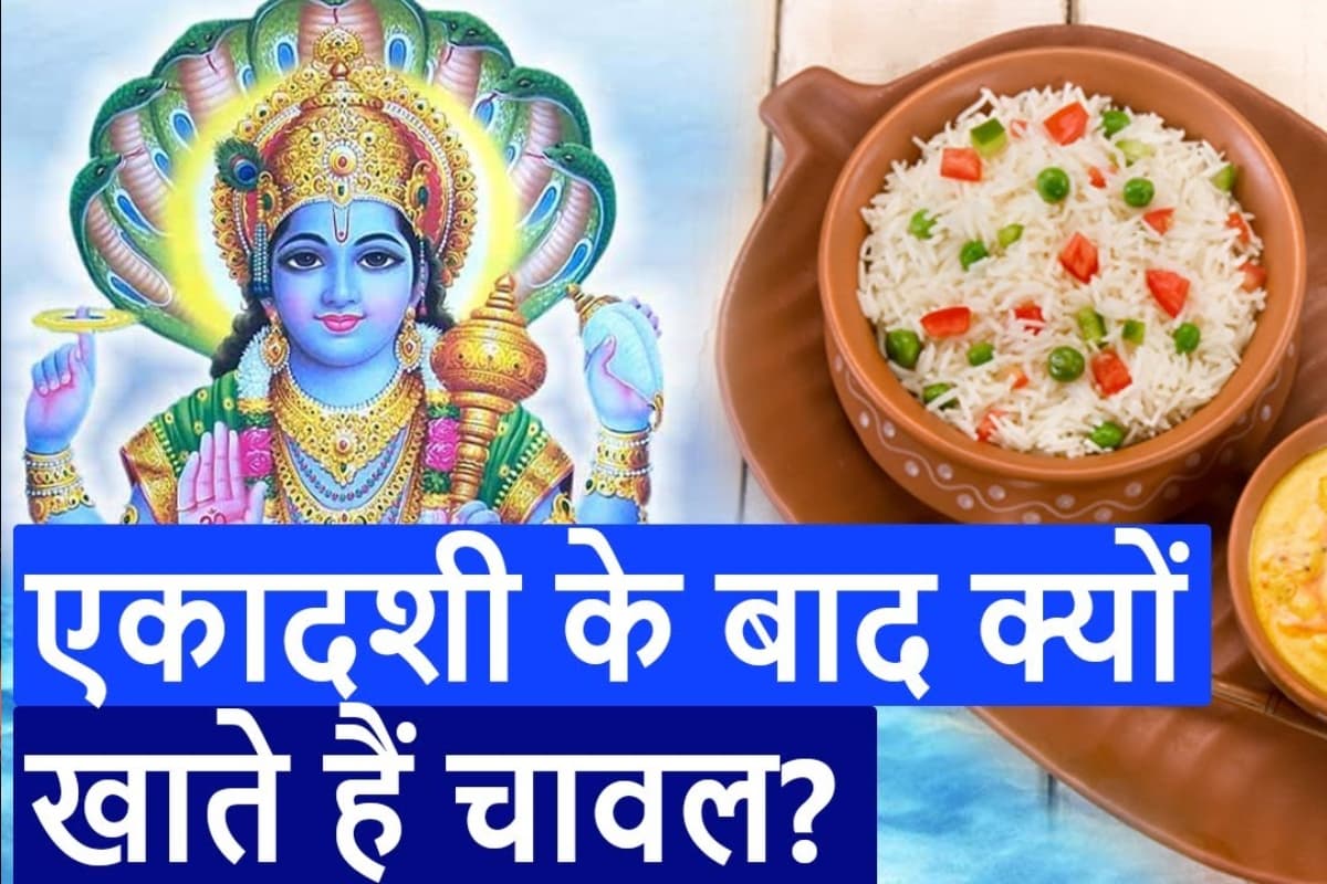 Ekadashi fasting: एकादशी के व्रत के बाद चावल खाना है शुभ, जानें वजह