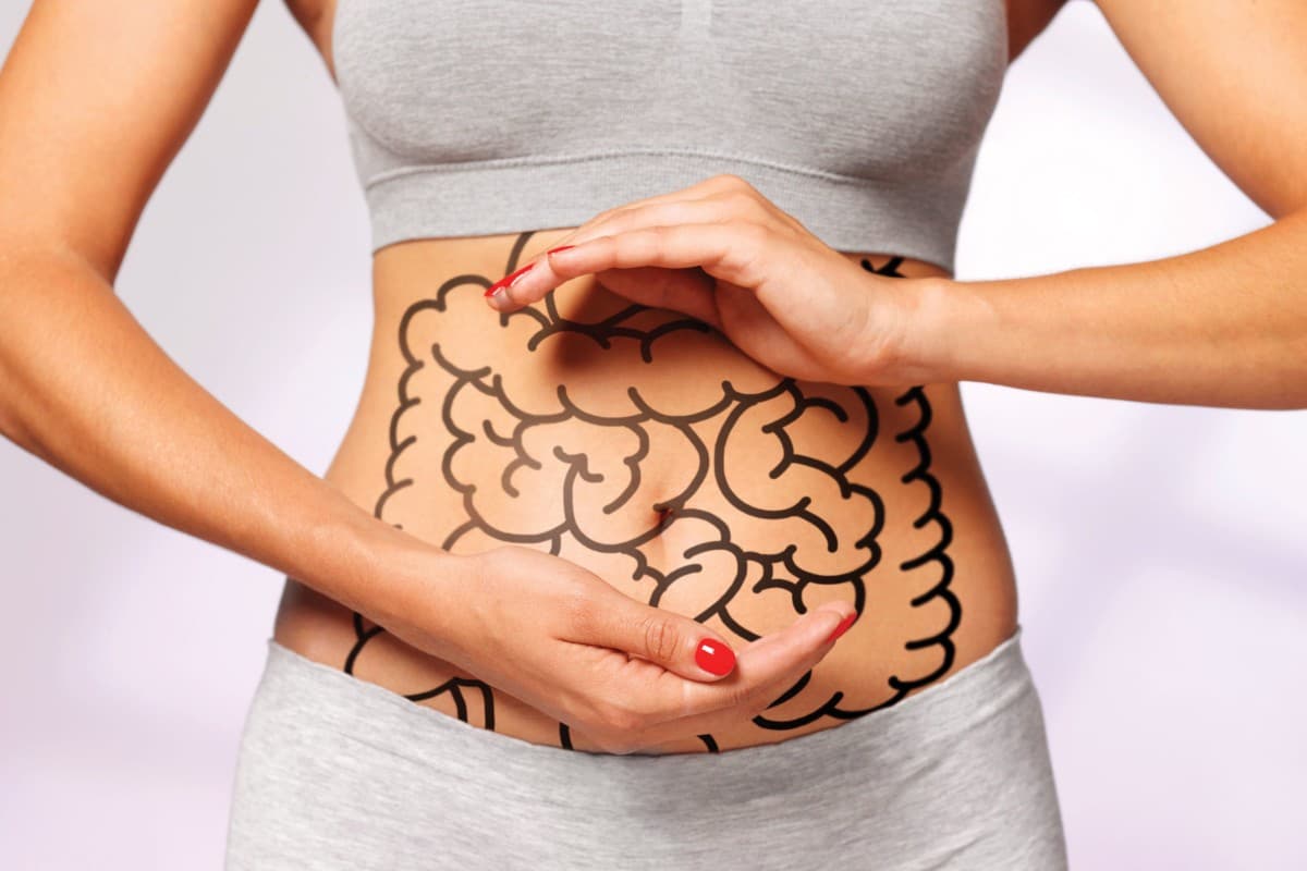 gut health