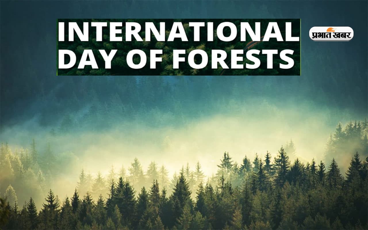 International Day of Forests 2024 पर आज जानें क्या है इस दिन का इतिहास और महत्व