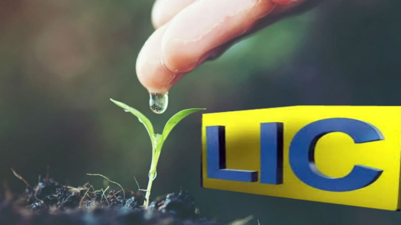 LIC ने पूरी दुनिया में बजाया डंका, दुनिया का सबसे मजबूत बीमा ब्रांड बनकर उभरा