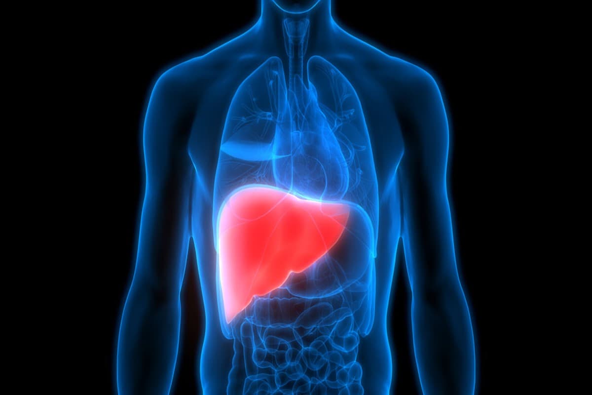 Health Tips: लिवर इन्फेक्शन को हल्के में ना लें, इन लक्षणों से पहचानें 
