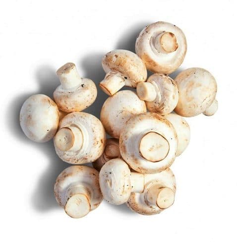 मशरूम से स्वरोजगार