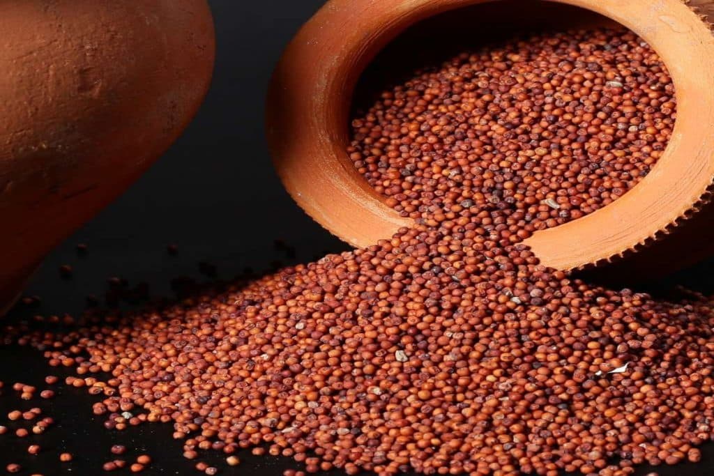 Ragi