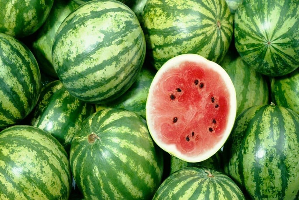 Watermelon