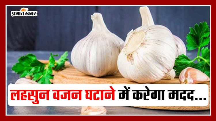 Garlic For Weight Loss: लहसुन का इस्तेमाल वजन घटाने में करेगा मदद