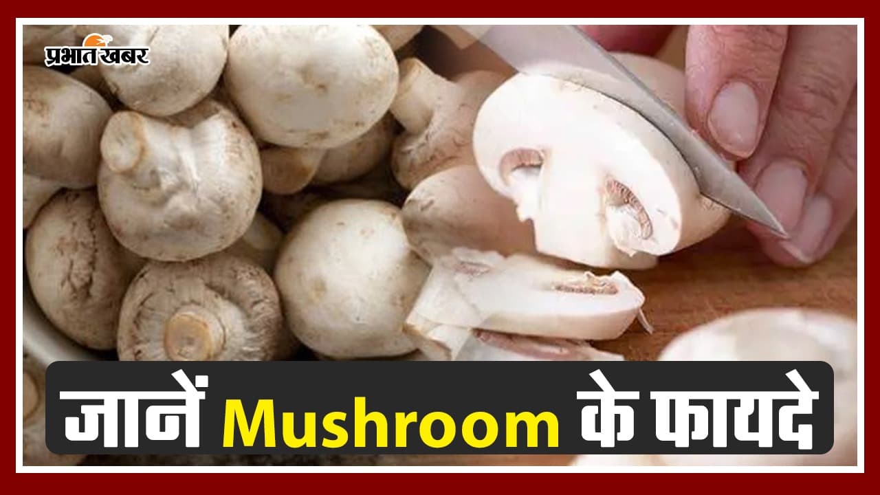 Benefits of Mushroom: हेल्थ के लिए फायदेमंद है मशरूम, जानें इसके फायदे