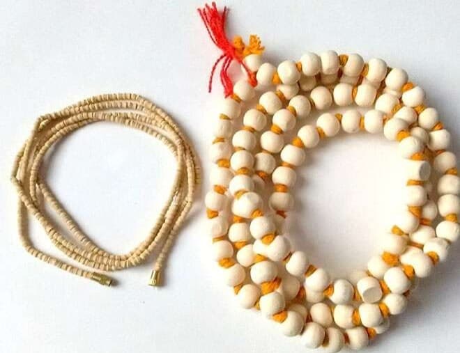 Tulsi Mala: क्या आप जानते हैं तुलसी माला पहनने के फायदे और साइड इफेक्ट्स, जानें ज्योतिषीय नियम