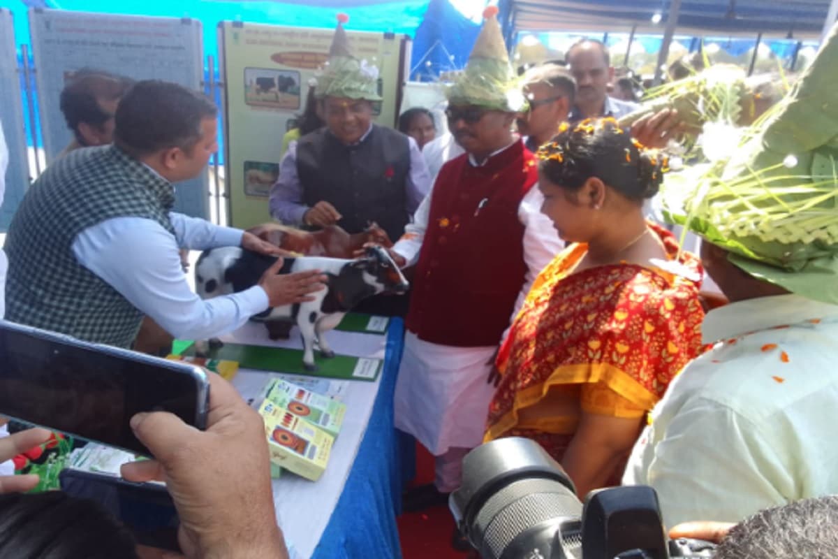 चाईबासा में अर्जुन मुंडा बोले- खेती के साथ दुग्ध उत्पादन बढ़ाकर आय व सेहत सुधारें किसान