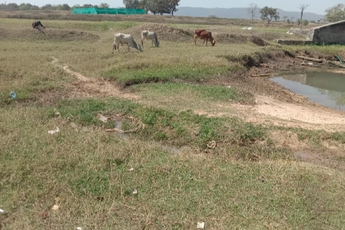 लोहरदगा के किस्को प्रखंड में पेयजल संकट से जूझ रहे लोग, सारी योजनाएं ध्वस्त