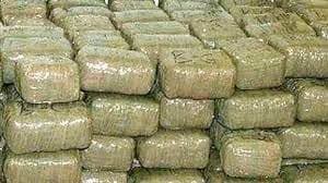 बिहार में एक करोड़ के चरस के साथ तस्कर गिरफ्तार, नेपाल से दिल्ली ले जाने की थी तैयारी