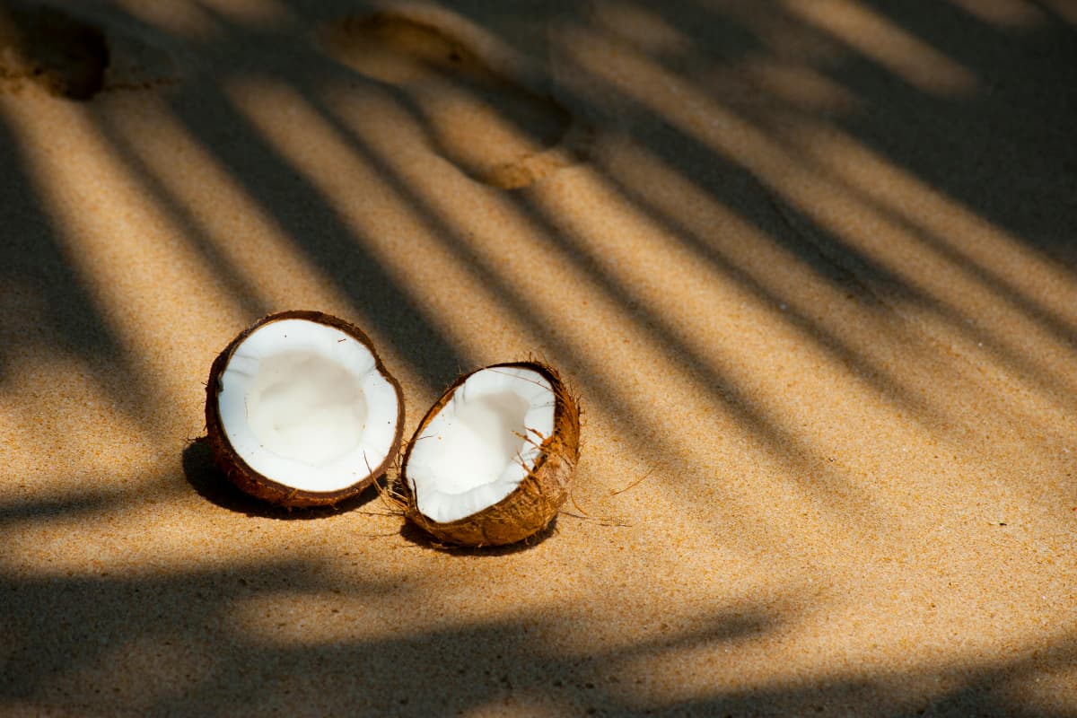 Coconut Benefits: नारियल स्वास्थ्य और सौंदर्य के लिए एक चमत्कारी फल