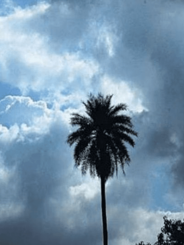 Weather Forecast: जानें कब बदलेगा मौसम का मिजाज, इन राज्यों में बारिश का अनुमान
