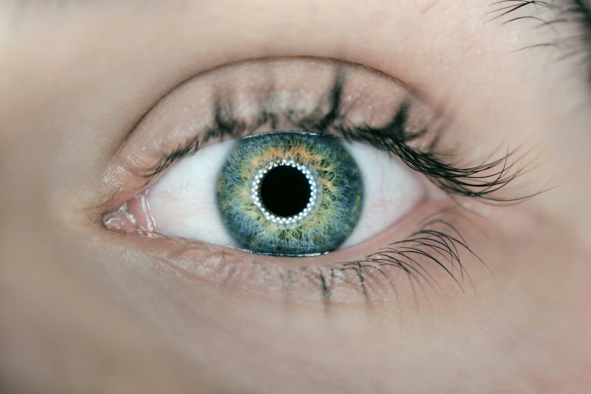 Eye Care Tips: आंखों की देखभाल: स्वस्थ आंखों के लिए सरल उपाय