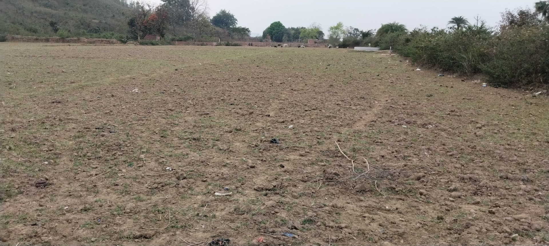सिंचाई सुविधा के अभाव में दम तोड़ रही कृषि