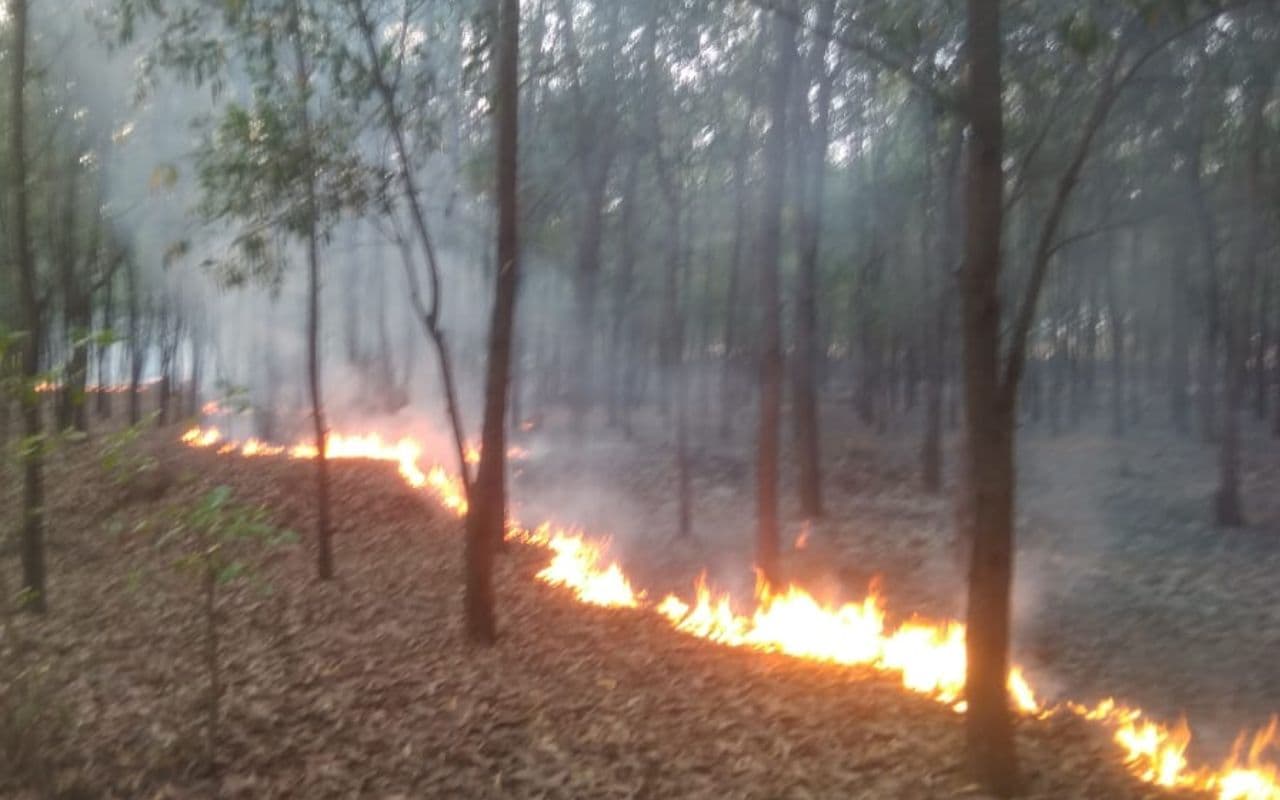 ट्रांसमिशन तार की चपेट में आने से बेंगाबाद के जंगल में लगी आग, 1000 से अधिक पेड़ जले