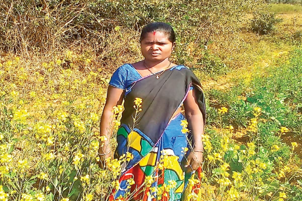 झारखंड में जैविक खेती ने 600 गांवों के किसानों की बदली तकदीर, जानें कैसे