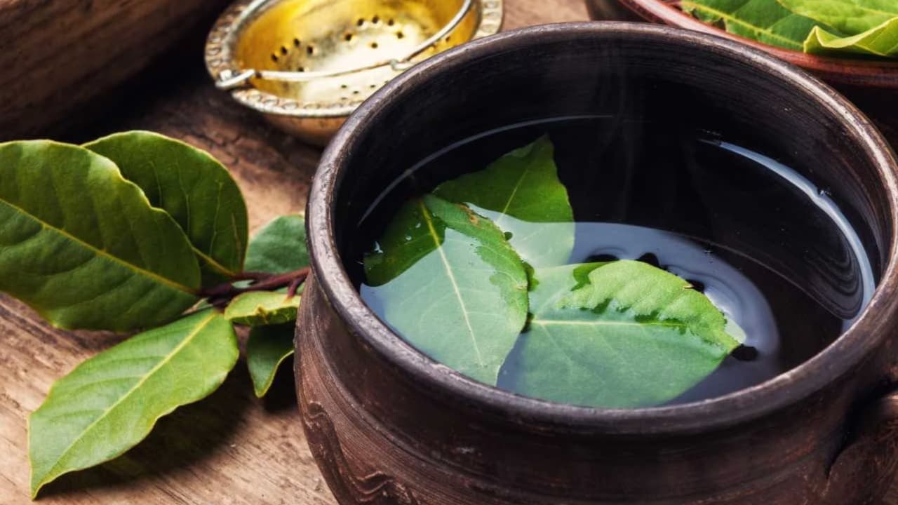 Bay Leaf Water Benefits: खाली पेट करें तेजपत्ते के पानी का सेवन, मिलेंगे चमत्कारी फायदे