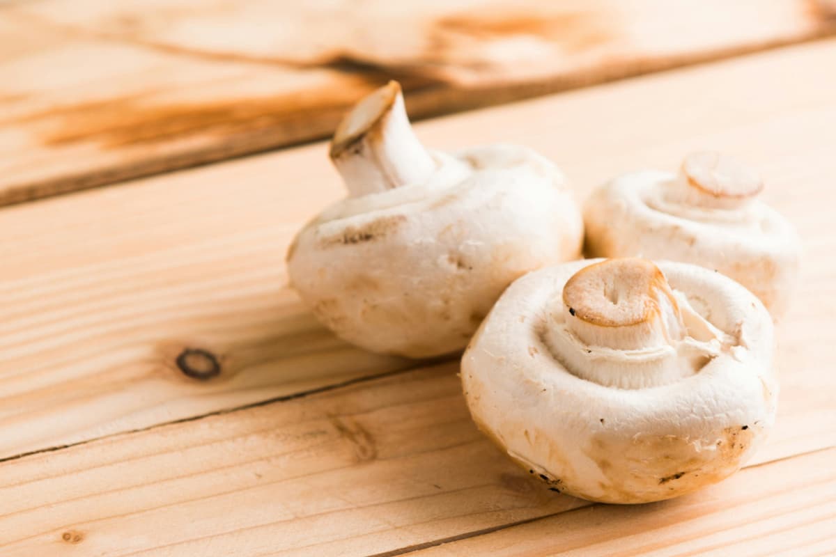 Benefits of Mushroom: स्वाद के साथ-साथ हेल्थ के लिए भी फायदेमंद है मशरूम, जानें इसके फायदे