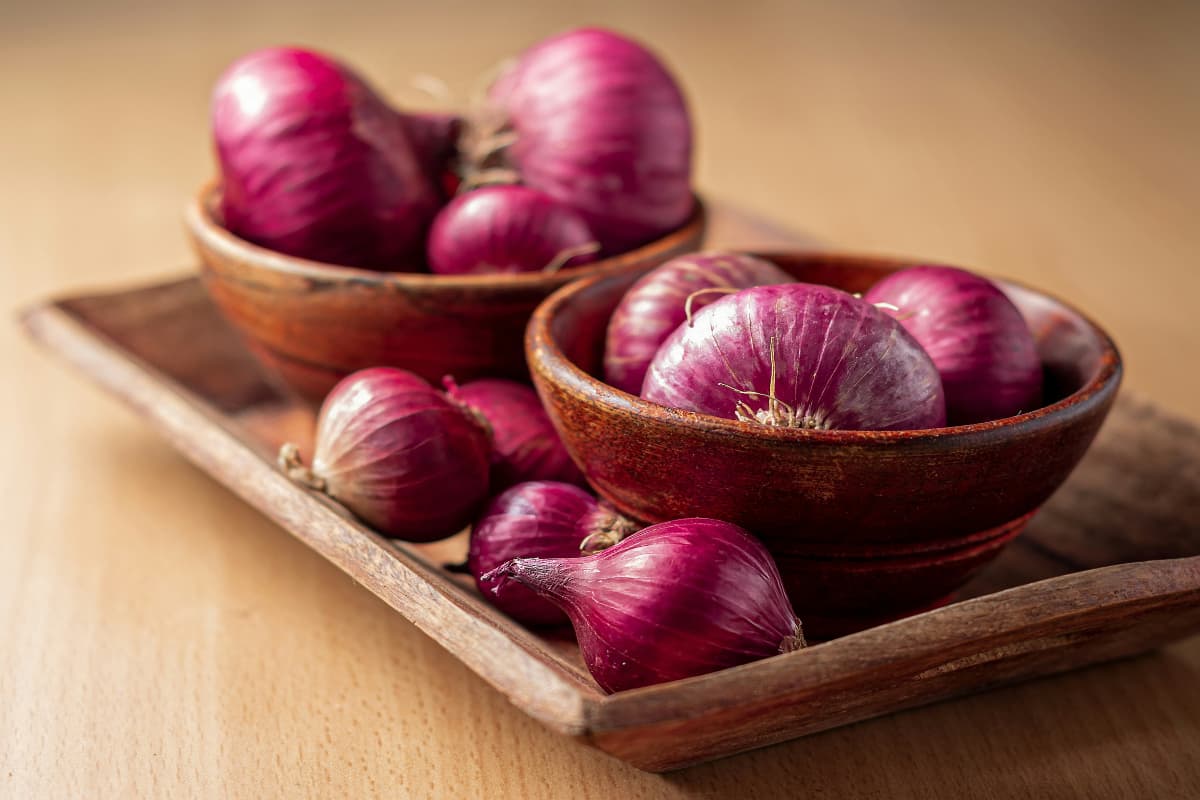 Food Tips: फ्रिज में इन चीजों को भूलकर भी न रखें, सेहत पर पड़ सकता है बुरा असर