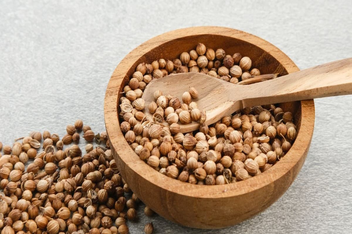 Coriander Water Benefits: सिर्फ थायराइड ही नहीं इन बीमारियों के लिए भी रामबाण है धनिया का पानी, जानें फायदे