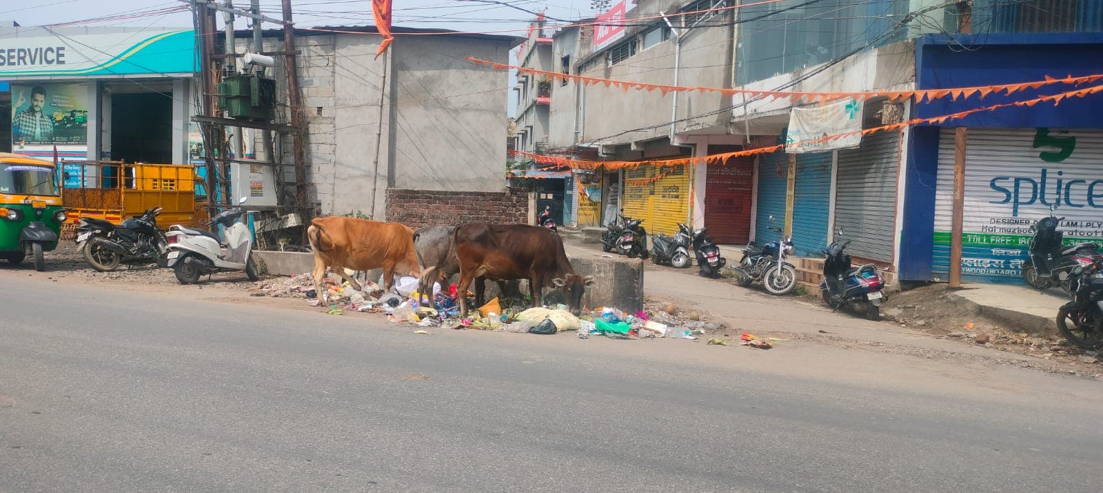 सात दिनों में एक बार आ रहे कचरा वाहन, सड़कों पर कूड़ा फेंक रहे लोग