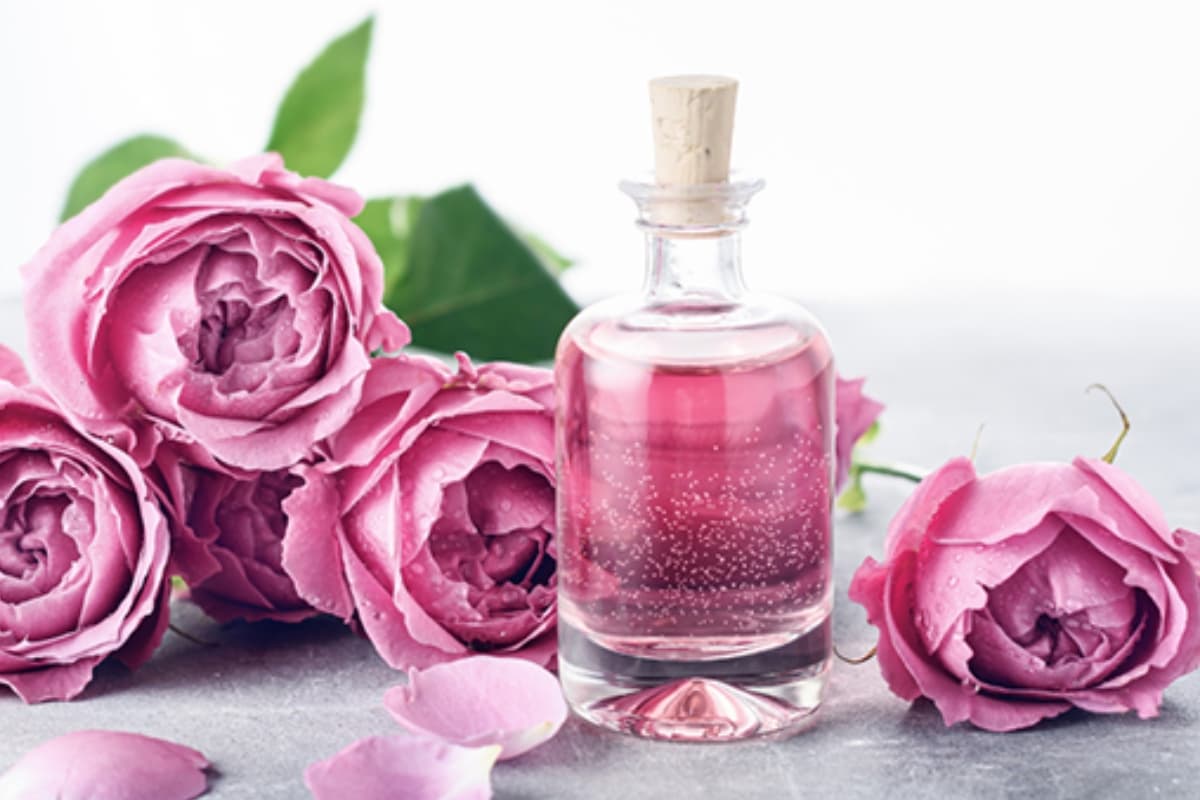Rose Water From Rose Petals: गुलाब की पंखुड़ियों से घर पर बनाएं शुद्ध गुलाब जल