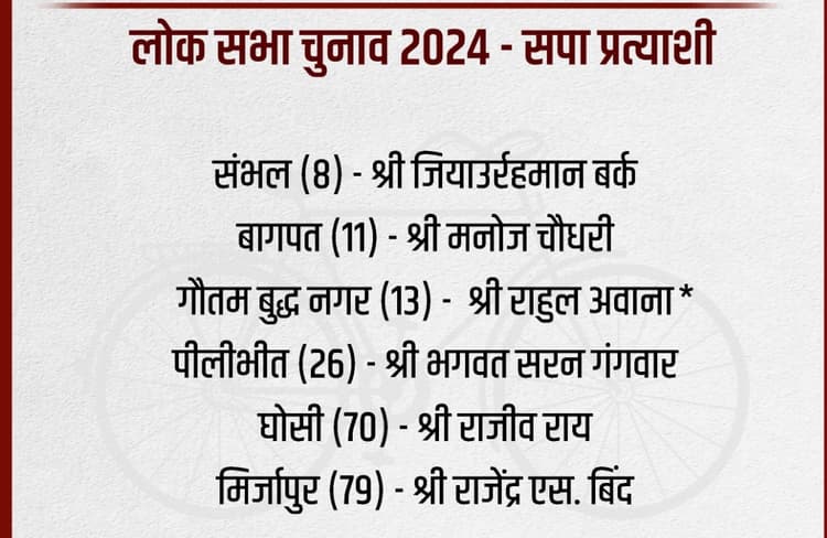 Lok Sabha Election 2024: सपा ने प्रत्याशियों की छठी लिस्ट की जारी, संभल से जियाउर्रहमान बर्क, घोसी से राजीव राय