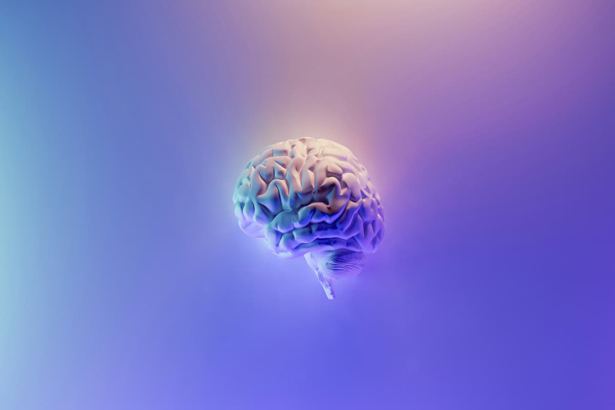 Sharp Brain Tips: शार्प दिमाग के लिए अपनी रूटीन में शामिल करें ये आदतें