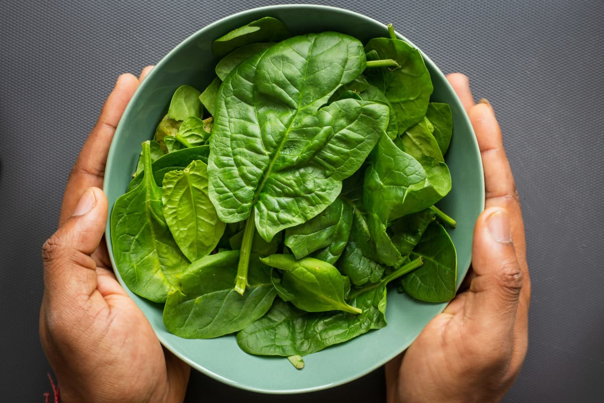 Green Leafy Vegetables : सर्दियों में हरी पत्तेदार सब्जियों को खाने से क्या होता है?