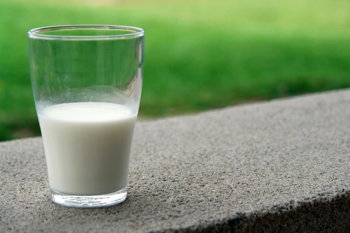 आज है World Milk Day, जानिए दूध पीने के फायदे
