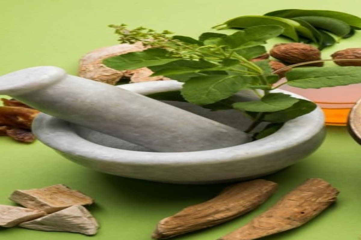 Diabetes: आयुर्वेद की ये औषधियां करेंगी आपकी शुगर नियंत्रित