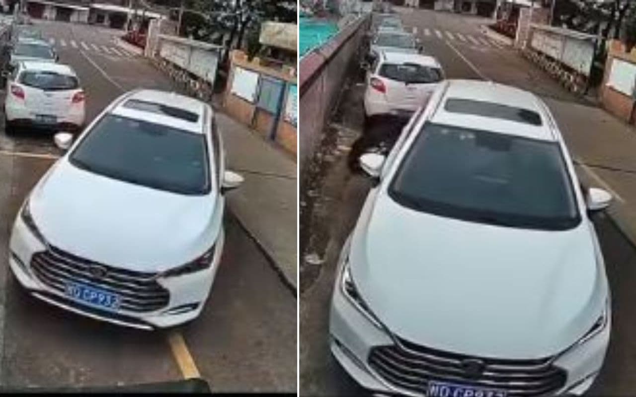 Viral Video: दुनिया की सबसे खरनाक ड्राइवर , जिसने अपनी कार को कुछ ऐसे किया पार्क