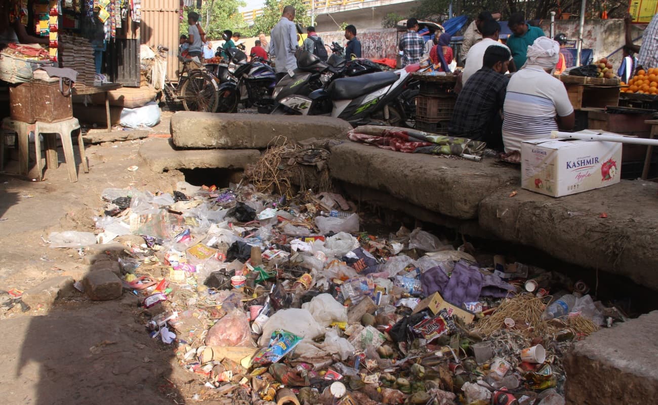 Saran News : गलत जानकारी देने पर ग्रीन ट्रिब्यूनल ने जिप के अधिवक्ता पर लगाया जुर्माना